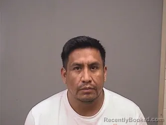 Mugshot of NECTALI MOLINA-LEVY booked in Mahoning County, Ohio on June 29, 2026