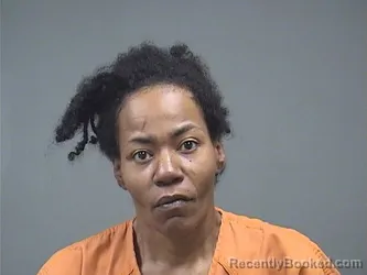 Mugshot of AMBER CHAMBERS booked in Mahoning County, Ohio on July 3, 2026