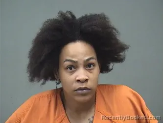 Mugshot of KALAURIE ELHADY booked in Mahoning County, Ohio on July 3, 2026