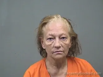Mugshot of DAWN M STEVENSON booked in Mahoning County, Ohio on July 6, 2026