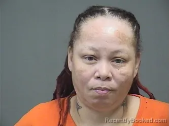 Mugshot of TEANISHA SHAIRE MITCHELL booked in Mahoning County, Ohio on July 8, 2026