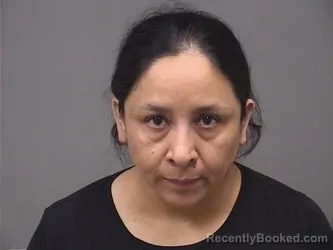 Mugshot of MARIANELA BUSTAMENTE YAGUANA booked in Mahoning County, Ohio on July 9, 2026
