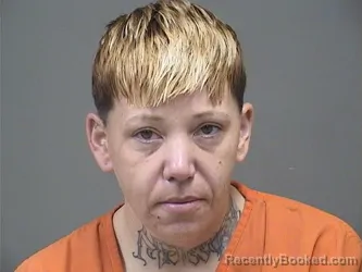 Mugshot of CHRISTINA M SNYDER booked in Mahoning County, Ohio on July 9, 2026