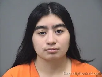 Mugshot of LORENA YAMILETH DIEGUEZ-POZUELOS booked in Mahoning County, Ohio on July 9, 2026