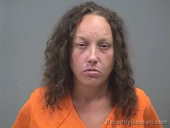 Mugshot of TAMMY J VANFOSSAN booked in Mahoning County, Ohio on July 13, 2026