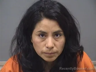Mugshot of MARIA BEATRIZ GUAMANGATE GUANOTUNA booked in Mahoning County, Ohio on July 16, 2026