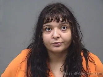 Mugshot of BRANDI MARIE ARIAS-CARNAHAN booked in Mahoning County, Ohio on July 16, 2026