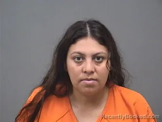 Mugshot of Adelayda Lima Ordonez booked in Mahoning County, Ohio on August 2, 2026