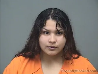 Mugshot of Ariana Llamoca Sanchez booked in Mahoning County, Ohio on August 2, 2026