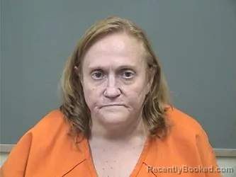 Mugshot of Christine J Dimailo booked in Mahoning County, Ohio on August 7, 2026