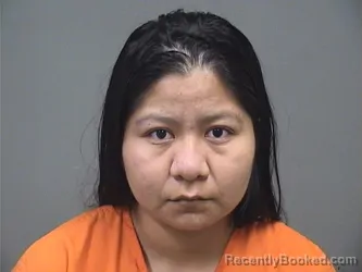 Mugshot of Ladiminey Diaz Hernandez booked in Mahoning County, Ohio on August 7, 2026