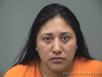 Mugshot of Vanessa Criollo Tirado booked in Mahoning County, Ohio on August 16, 2026
