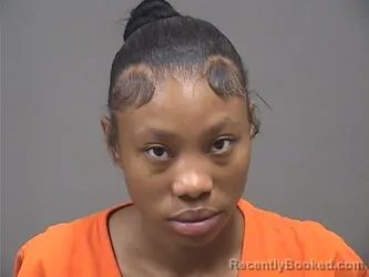 Mugshot of Gabrielle Chreese Howard booked in Mahoning County, Ohio on August 20, 2026