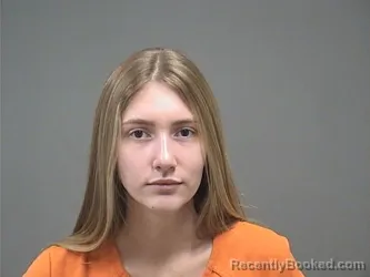 Mugshot of Anastasiia Salyzhyn booked in Mahoning County, Ohio on August 24, 2026