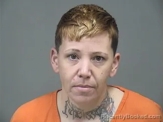 Mugshot of Christina M Snyder booked in Mahoning County, Ohio on August 25, 2026