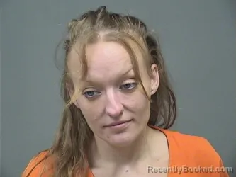 Mugshot of Brittney L Phillips booked in Mahoning County, Ohio on August 25, 2026