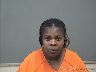 Mugshot of Kayla Francois booked in Mahoning County, Ohio on August 29, 2026