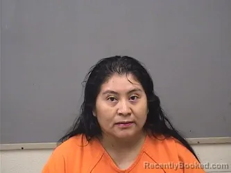Mugshot of Amalia Lopez Gomez booked in Mahoning County, Ohio on August 29, 2026