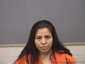 Mugshot of Digna Chicaiza Guaman booked in Mahoning County, Ohio on August 29, 2026
