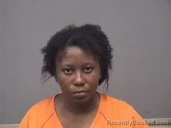 Mugshot of Nehemie Pierre booked in Mahoning County, Ohio on August 29, 2026