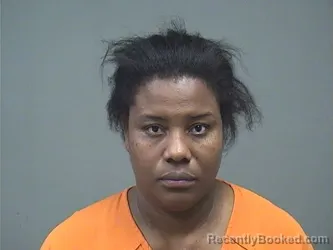 Mugshot of Claudia Louis booked in Mahoning County, Ohio on September 3, 2026