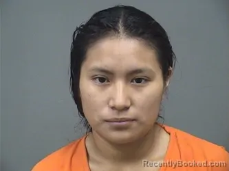 Mugshot of Sofia Ruiz Gonzalez booked in Mahoning County, Ohio on September 6, 2026
