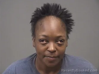 Mugshot of Taleyla S Gregory booked in Mahoning County, Ohio on September 7, 2026