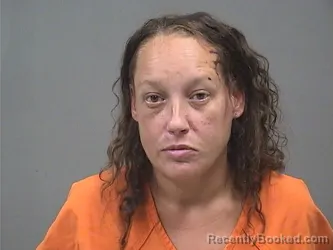 Mugshot of Tammy J Vanfossan booked in Mahoning County, Ohio on September 13, 2026