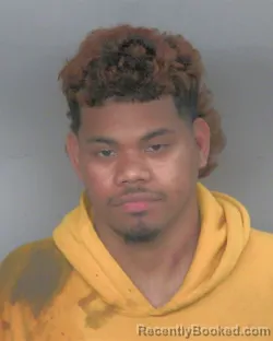 Mugshot of CARTON TONTO PERO