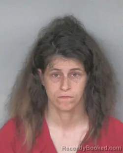 Mugshot of KRISTAL NICOLE HICKS booked in Mercer County, Ohio on April 1, 2026