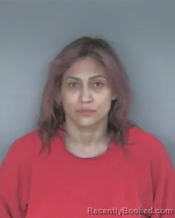 Mugshot of ELIZABETH NICOLE YOSS booked in Mercer County, Ohio on June 30, 2026