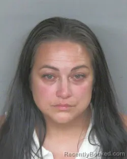 Mugshot of CHERIE LORRAINE TINCH booked in Mercer County, Ohio on July 4, 2026