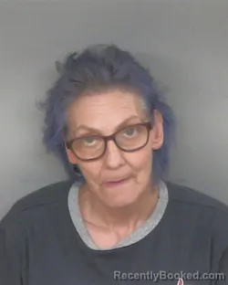 Mugshot of CRISTINA JOEL GANN booked in Mercer County, Ohio on June 5, 2026