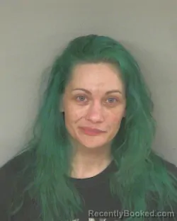 Mugshot of SKYE ANNA DANIELS booked in Mercer County, Ohio on June 17, 2026