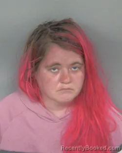 Mugshot of NATASHA ELIZABETH SPRINGER booked in Mercer County, Ohio on April 12, 2026