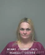 Mugshot of BRANDY S WOOLUM booked in Miami County, Ohio on April 4, 2026