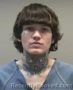 Mugshot of JORDAN RAY ZURFACE