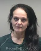 Mugshot of MICHELLE LYNN HOWARD