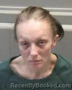 Mugshot of HEATHER NICOLE GILLEM GORDON booked in Montgomery County, Ohio on March 10, 2026