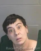 Mugshot of Michelle Suzann Campbell booked in Montgomery County, Ohio on September 27, 2026