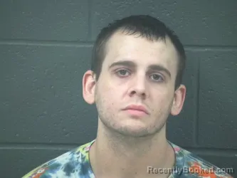 Mugshot of TANNER DEPOLO booked in Morrow County, Ohio on March 31, 2026