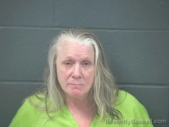 Mugshot of DIANE BAILEY booked in Morrow County, Ohio on June 8, 2026