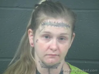 Mugshot of SAVANNA MCDONALD booked in Morrow County, Ohio on July 13, 2026