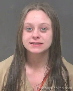 Mugshot of ELIZABETH NICOLE MORRIS