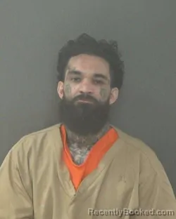 Mugshot of BRANDON LEE SOMERS