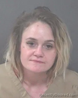 Mugshot of DESIREE NICOLE HAMPTON
