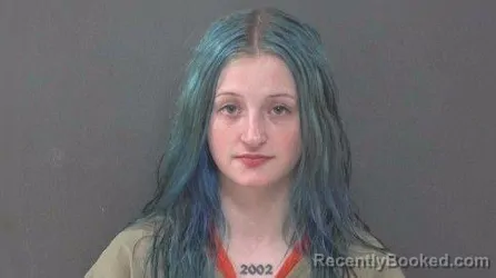 Mugshot of DAYLA KAE DEVER booked in Muskingum County, Ohio on April 24, 2026