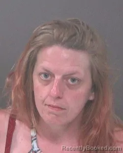 Mugshot of SARA JO DILLEY booked in Muskingum County, Ohio on July 8, 2026