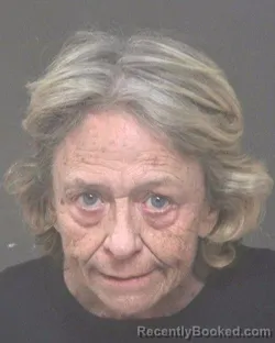Mugshot of Judith K Snack booked in Muskingum County, Ohio on October 25, 2026