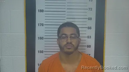 Mugshot of JORDAN MICHAEL GRESHAM